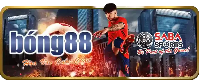 Quản lý tài khoản cá nhân và các sự kiện VIP
