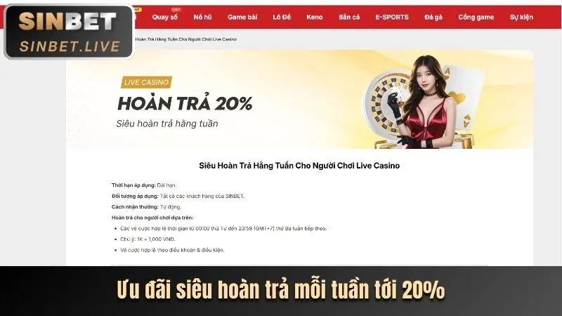 Hình ảnh tiền hoàn trả và biểu tượng hoàn tiền, minh họa chương trình hoàn trả cược thể thao hàng ngày/tuần.